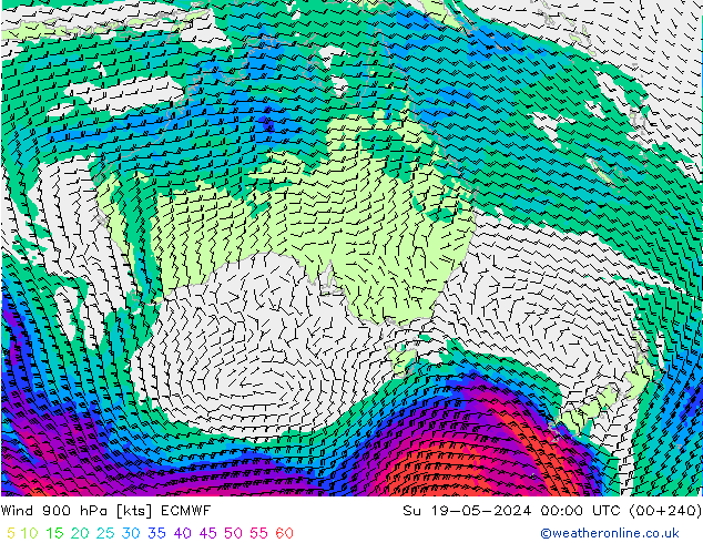 Viento 900 hPa ECMWF dom 19.05.2024 00 UTC