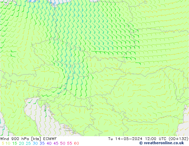 Vento 900 hPa ECMWF mar 14.05.2024 12 UTC