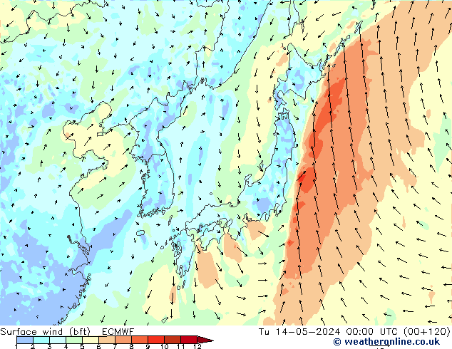 Surface wind (bft) ECMWF Tu 14.05.2024 00 UTC