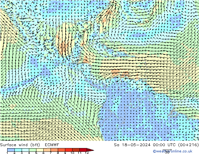 Surface wind (bft) ECMWF Sa 18.05.2024 00 UTC