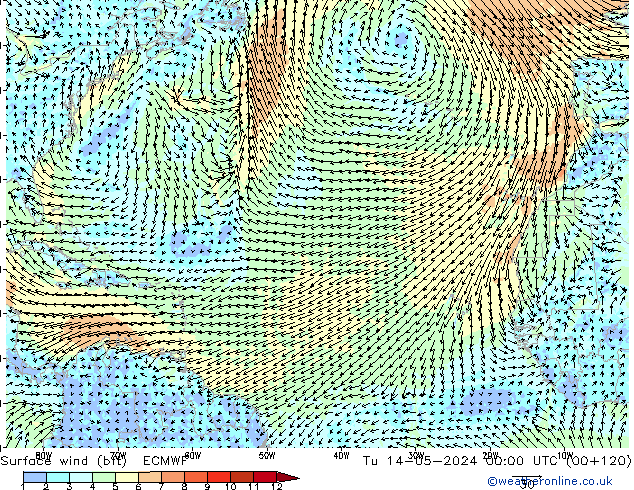 Vento 10 m (bft) ECMWF Ter 14.05.2024 00 UTC