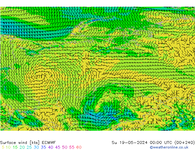 Surface wind ECMWF Su 19.05.2024 00 UTC