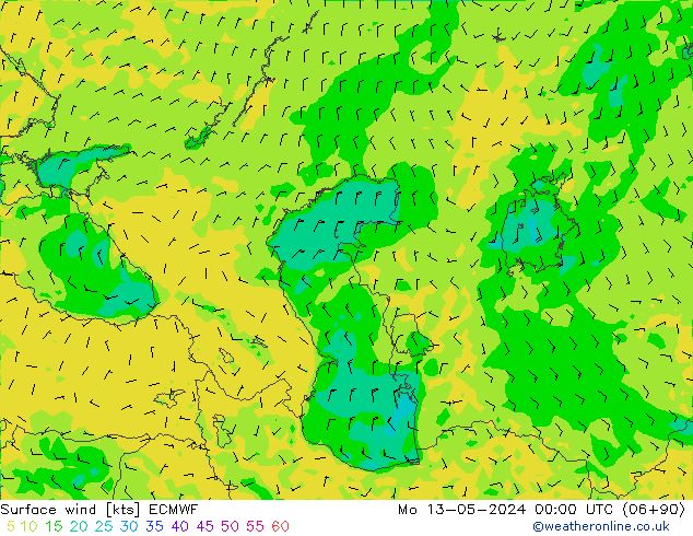 Rüzgar 10 m ECMWF Pzt 13.05.2024 00 UTC