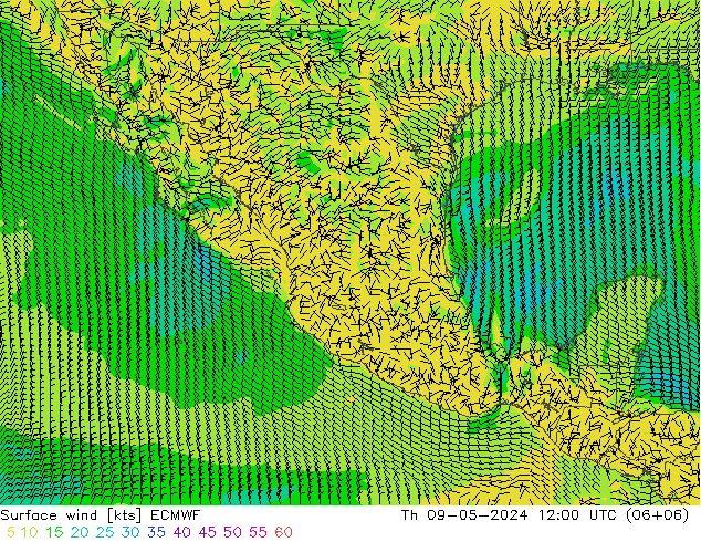 Surface wind ECMWF Th 09.05.2024 12 UTC