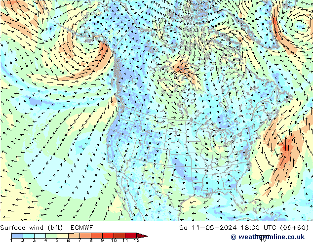 Surface wind (bft) ECMWF Sa 11.05.2024 18 UTC