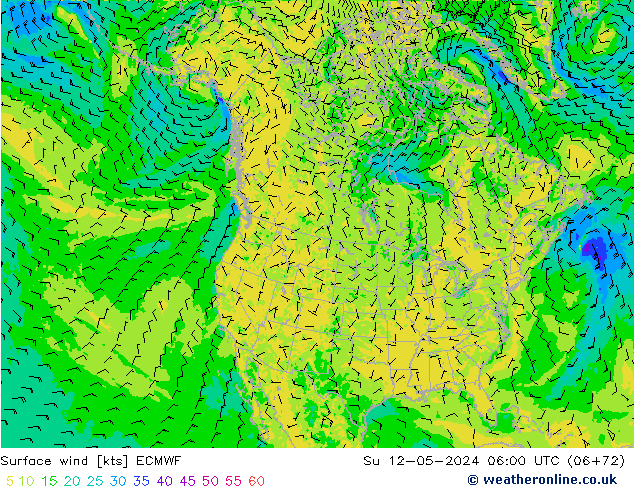 Vento 10 m ECMWF dom 12.05.2024 06 UTC