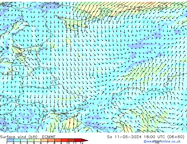 Surface wind (bft) ECMWF Sa 11.05.2024 18 UTC