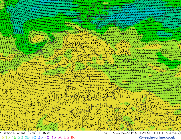 风 10 米 ECMWF 星期日 19.05.2024 12 UTC