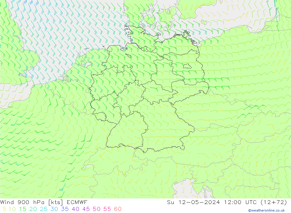 Wind 900 hPa ECMWF So 12.05.2024 12 UTC