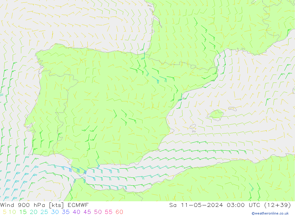 Wind 900 hPa ECMWF za 11.05.2024 03 UTC