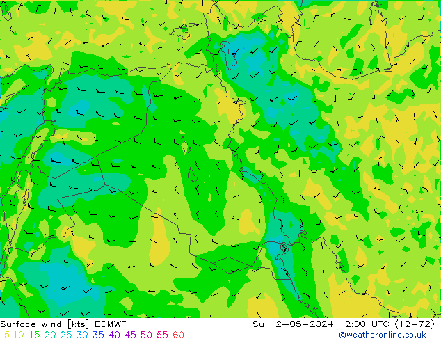 Rüzgar 10 m ECMWF Paz 12.05.2024 12 UTC