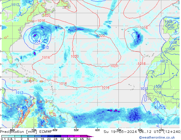 Yağış ECMWF Paz 19.05.2024 12 UTC