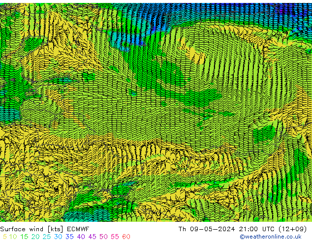 Surface wind ECMWF Th 09.05.2024 21 UTC