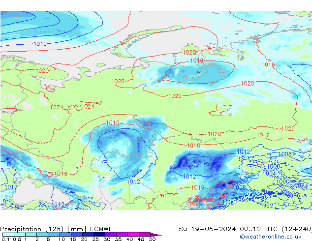 Precipitação (12h) ECMWF Dom 19.05.2024 12 UTC
