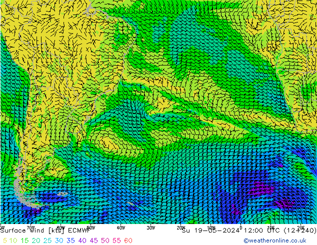 Surface wind ECMWF Su 19.05.2024 12 UTC