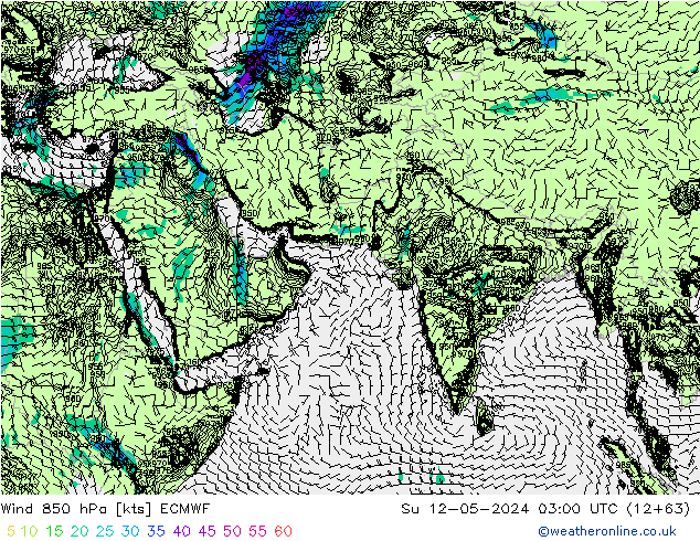 Wind 850 hPa ECMWF Ne 12.05.2024 03 UTC
