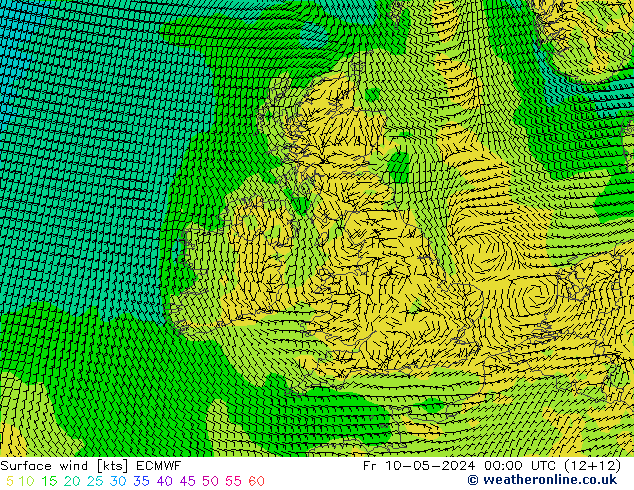 Surface wind ECMWF Fr 10.05.2024 00 UTC