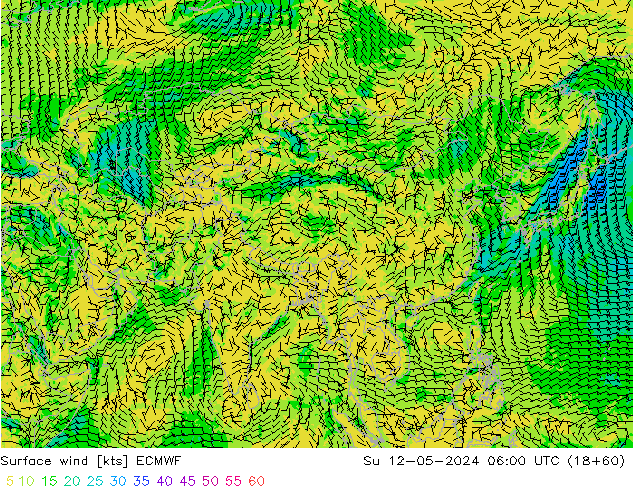 Surface wind ECMWF Su 12.05.2024 06 UTC