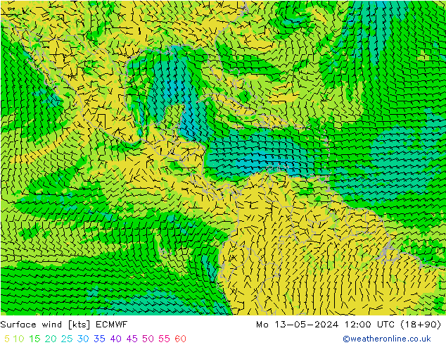 Surface wind ECMWF Mo 13.05.2024 12 UTC
