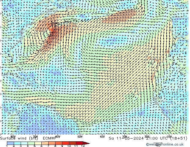 Surface wind (bft) ECMWF So 11.05.2024 21 UTC