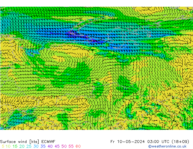 Surface wind ECMWF Fr 10.05.2024 03 UTC