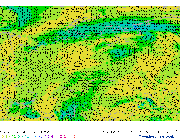  10 m ECMWF  12.05.2024 00 UTC