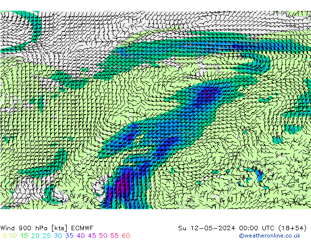 Wind 900 hPa ECMWF Ne 12.05.2024 00 UTC