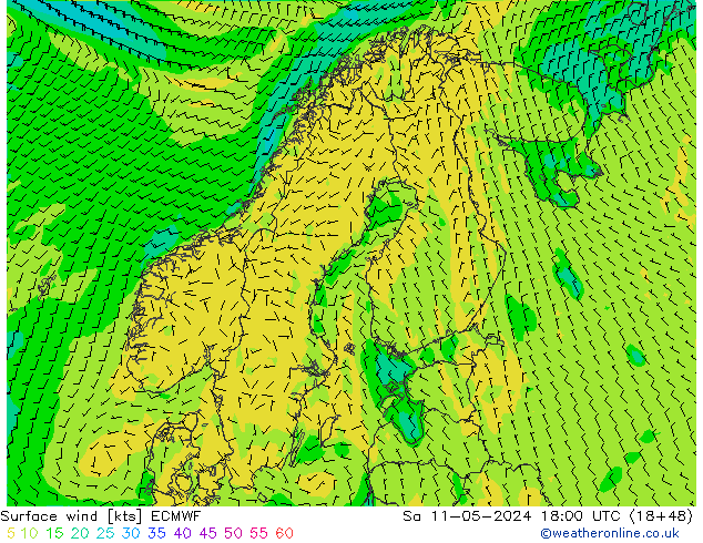 Bodenwind ECMWF Sa 11.05.2024 18 UTC