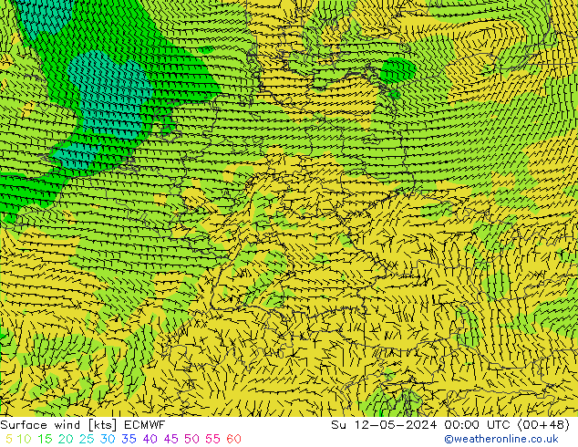 风 10 米 ECMWF 星期日 12.05.2024 00 UTC