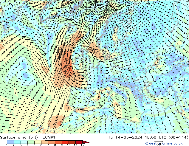 Surface wind (bft) ECMWF Tu 14.05.2024 18 UTC