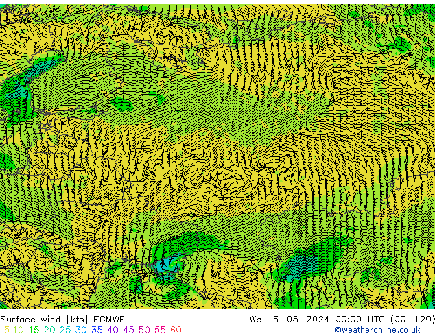 ветер 10 m ECMWF ср 15.05.2024 00 UTC