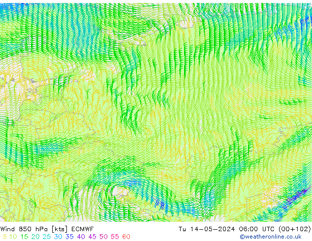ветер 850 гПа ECMWF вт 14.05.2024 06 UTC