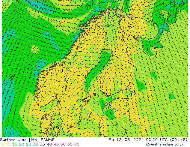 Bodenwind ECMWF So 12.05.2024 00 UTC