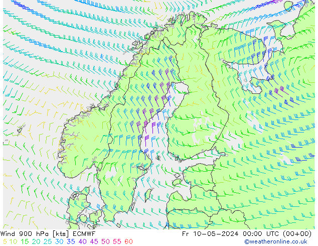 Wind 900 hPa ECMWF Fr 10.05.2024 00 UTC