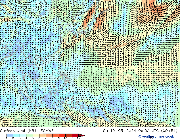 Surface wind (bft) ECMWF Ne 12.05.2024 06 UTC