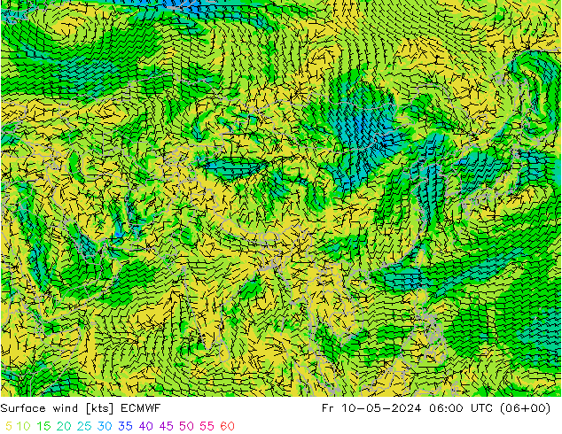 Bodenwind ECMWF Fr 10.05.2024 06 UTC