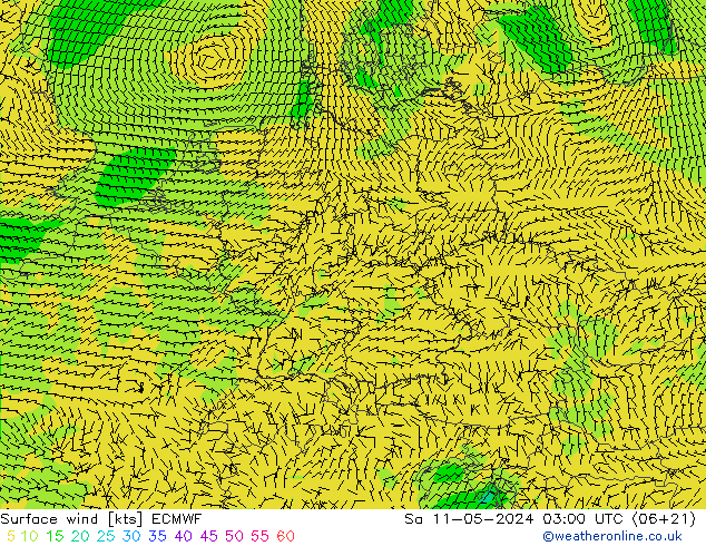 Surface wind ECMWF Sa 11.05.2024 03 UTC