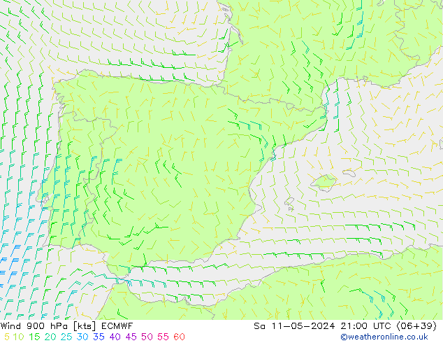Rüzgar 900 hPa ECMWF Cts 11.05.2024 21 UTC