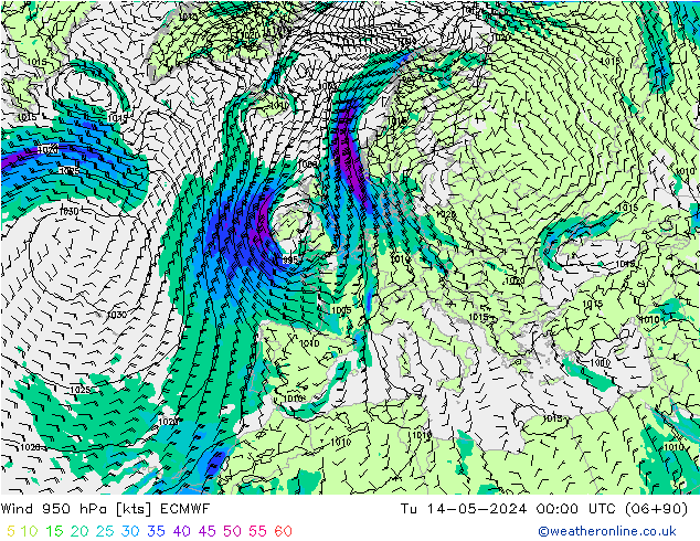 wiatr 950 hPa ECMWF wto. 14.05.2024 00 UTC