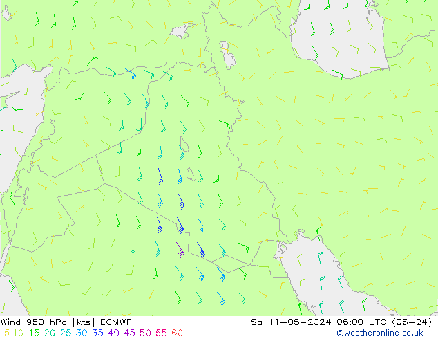 Wind 950 hPa ECMWF Sa 11.05.2024 06 UTC