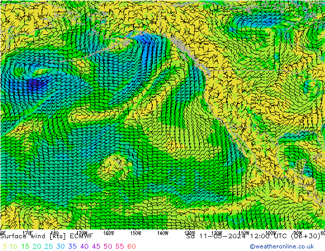 Surface wind ECMWF Sa 11.05.2024 12 UTC