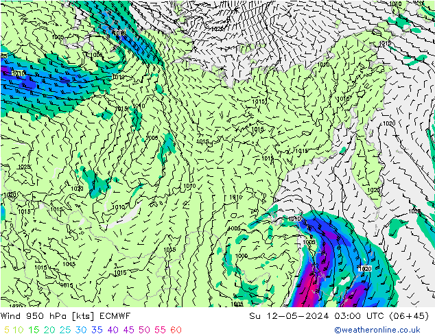 Vento 950 hPa ECMWF Dom 12.05.2024 03 UTC