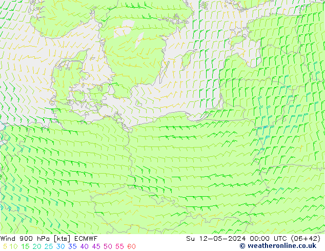 Vent 900 hPa ECMWF dim 12.05.2024 00 UTC