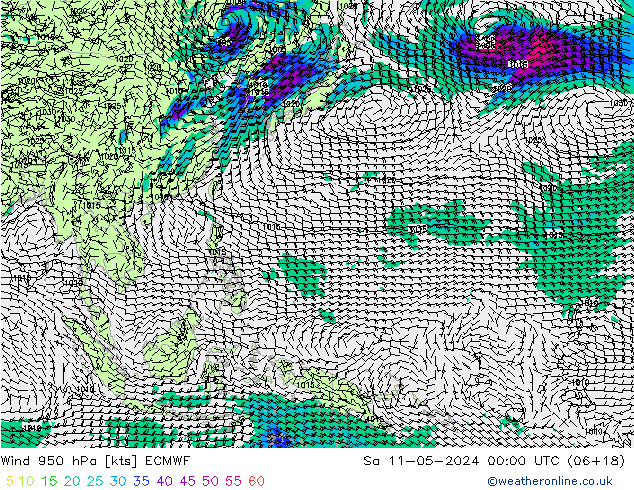  950 hPa ECMWF  11.05.2024 00 UTC