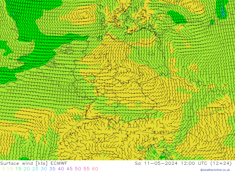 风 10 米 ECMWF 星期六 11.05.2024 12 UTC