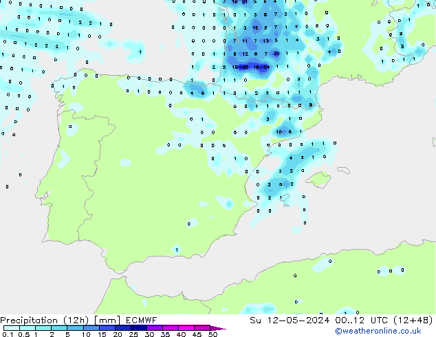 Precipitazione (12h) ECMWF dom 12.05.2024 12 UTC