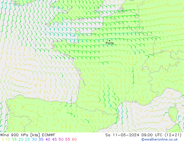  900 hPa ECMWF  11.05.2024 09 UTC