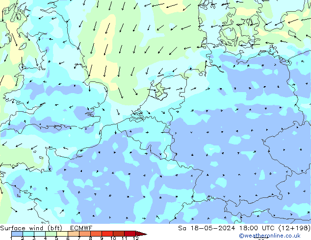 Surface wind (bft) ECMWF Sa 18.05.2024 18 UTC