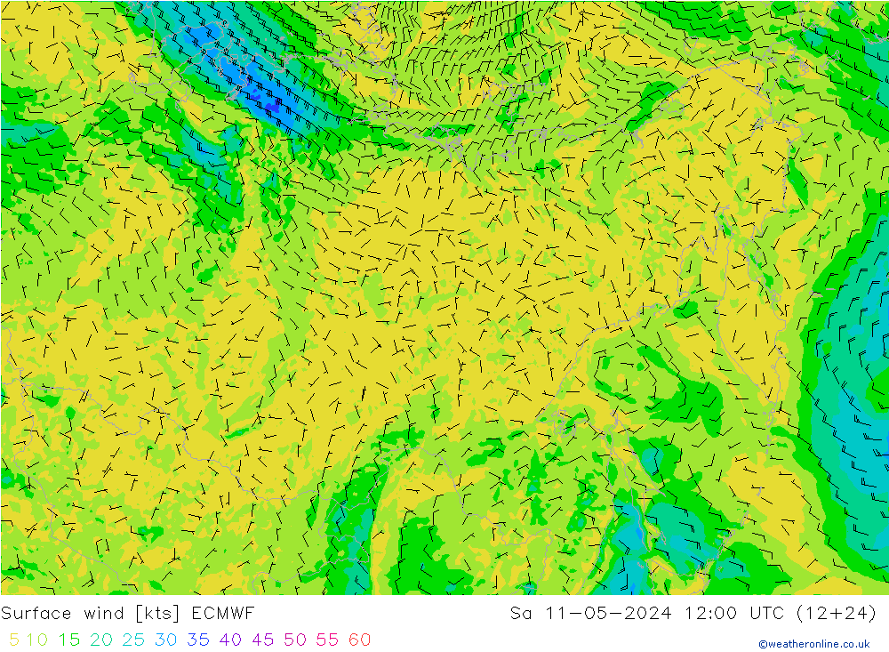 Surface wind ECMWF Sa 11.05.2024 12 UTC