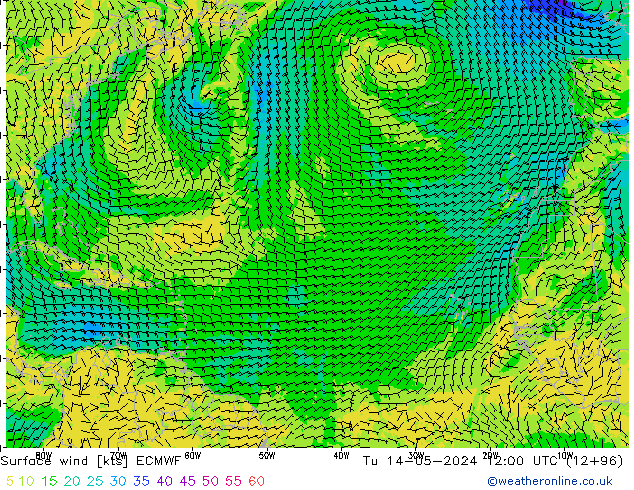 Surface wind ECMWF Tu 14.05.2024 12 UTC